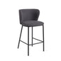 Ciselia Counter Stool