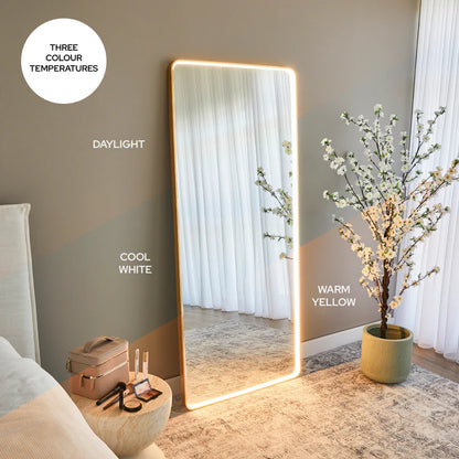 Luna 180cm Rectangle Front Illuminated Mirror Gold